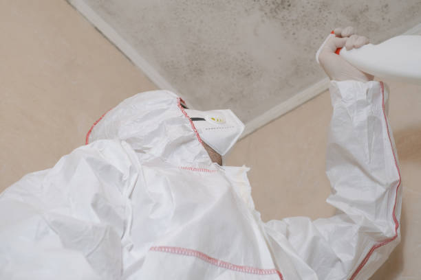 Best Toxic Mold Removal  in Midway, FL